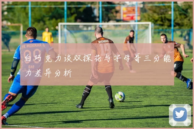 白巧克力谈双探花与字母哥三分能力差异分析