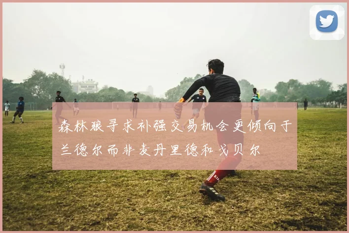 森林狼寻求补强交易机会更倾向于兰德尔而非麦丹里德和戈贝尔